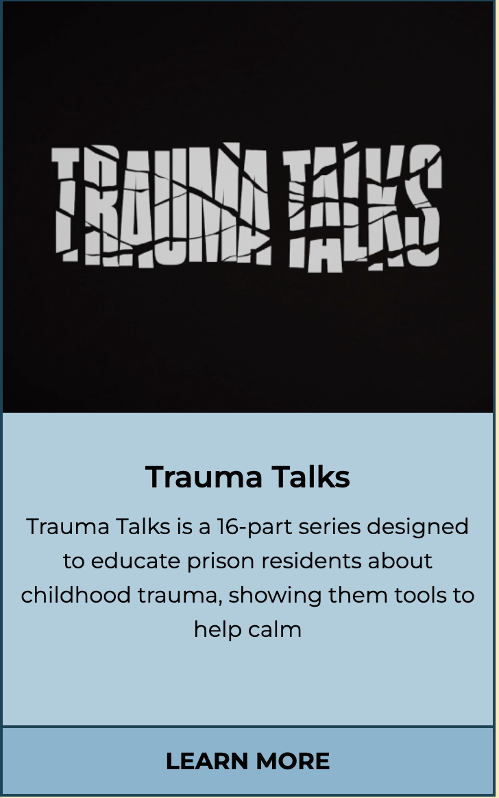 ProZ Pro Bono Trauma Talks English-to-Brazilian Portuguese subtitling project