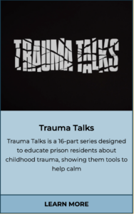 ProZ Pro Bono Trauma Talks English-to-Brazilian Portuguese subtitling project